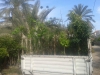 fruit-trees-lorry fruit-trees-lorry