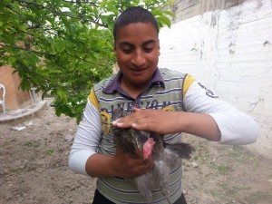 Hani with one of the hens